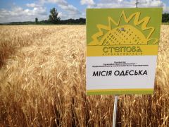 Пшениця Місія Одеська, еліта