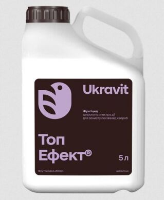 Топ Ефект, 5 л