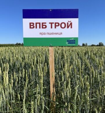 ВПБ ТРОЙ, 1 тонна, біг-бег, Еліта