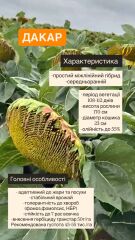 Дакар, Преміум, 2025, Гранстар, Середьоранній 108-112, ТОВ НВП "УКРАГРОСЕЛЕКТ", ТОВ НВП "УКРАГРОСЕЛЕКТ", A, B, C, D, E, F, G, да
