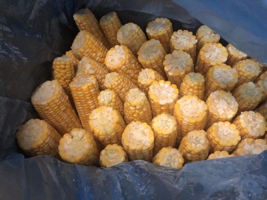 Кукурудза заморожена в початках, суперсолодка, качани 